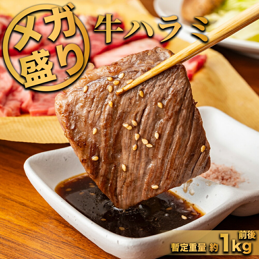 牛ハラミ 焼肉 業務用 やわらか牛ハラミ メガ大盛り1kg 冷凍 オールミート 牛肉 bbq 肉取り寄せグルメ ..