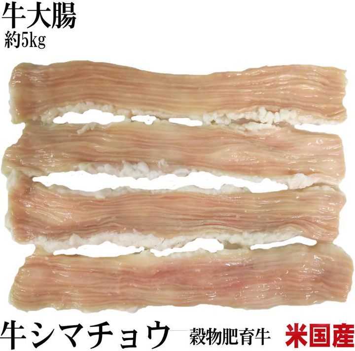 【全品対象！290円OFFクーポン配布中！】 業務用　牛大腸　1ケース販売　約5kg　　シマ腸　テッチャン【冷凍】 オールミート お肉 肉 精肉 加工品 BBQ バーベキュー お得 贈り物 プレゼント ギフト 父の日 プレゼント 食べ物 父の日ギフト お中元