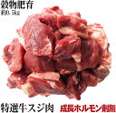  牛スジ肉 約500g 安心安全成長ホルモン剤未使用の穀物肥育牛 サーロイン ランプ 等使用 赤身 重視 牛肉 ブロック  オールミート お肉 肉 精肉 加工品 BBQ バーベキュー お得 贈り物 プレゼント ギフト