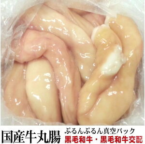 ぷるっぷる 国産牛丸腸・和牛交配 太いとこだけ! 業務用 ホルモン 丸腸 約1.5kg 冷凍 オールミート お肉 肉 精肉 加工品 BBQ バーベキュー お得 贈り物 プレゼント ギフト 御歳暮 お歳暮