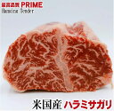 アメリカ産 最高品質プライム牛 特上ハラミサガリブロック 重量約500g 業務用 冷凍 ハラミ 焼肉 オールミート お肉 肉 精肉 加工品 BBQ バーベキュー ギフト 御歳暮 お歳暮