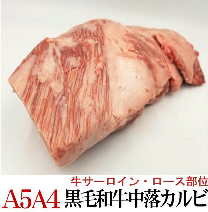 A4 A5等級 国産黒毛和牛サーロイン 