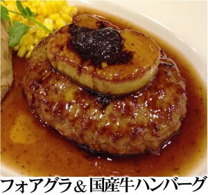 最高品質鵞鳥フォアグラ 国産牛100%無添加ハンバーグ お試し贅沢セット【冷凍】