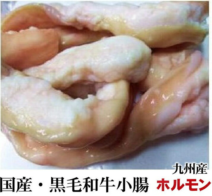 九州産国産・黒毛和牛ホルモン小腸の太いとこだけ業務用約1kg