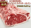 【全品5％OFFクーポン配布中！】 冷蔵直送　 暫定重量 約4kg前後 牛サーロインステーキブロック ...