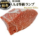 熟成飛騨牛 山勇牛 ランプ焼肉用 300g ランプ もも肉 赤身 焼肉 バーベキュー A4/A5 飛騨牛 和牛 メス牛 雌牛 牛肉 冷蔵 熟成肉 熨斗対応 父の日ギフト お誕生日 還暦 贈答用 ブランド牛 山勇畜産 肉ギフト 熨斗 外のし 稀少部位 お中元 御中元 [R]