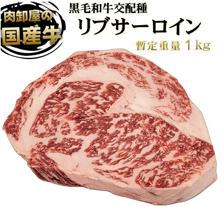 国産牛リブサーロインステーキブロック 九州産 量り売り 暫定重量約0.9kg前後 ブロック肉 かたまり 冷凍 ステーキ肉 牛肉 ブロック オールミート お肉 肉 精肉 加工品 BBQ バーベキュー お得 贈り物 プレゼント ギフト 父の日 プレゼント 実用的