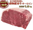 抗生物質残留0 成長ホルモン残留無し 牛サーロインブロック 約1kg前後 業務用冷凍 牛肉 ブロック オールミート お肉 肉 精肉 加工品 BBQ バーベキュー ギフト 食べ物 御歳暮 お歳暮