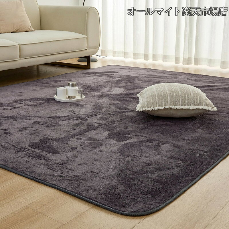 【送料無料】カーペット ラグ ラグマット 洗える 200×250cm 約3畳 絨毯 フランネルラグ 【至極の肌触り】 24時間持続制菌消臭 毛足4mm 滑り止め付 北欧 おしゃれ 【SOFT HOT】 制菌防臭 オールシーズン 床暖房 ダークグレー