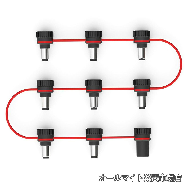 ダダリオ パワーケーブル 連結ケーブル XPND Adjustable Daisy Chain PW-XPNDADC-01 