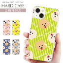 スマホケース 全機種対応 クリア ハード プリント ケース ワンちゃん デザイン ポメラニアン 可愛い ストライプ デザイン iPhone 16e 16 ケース iPhone 15 Pro iPhone SE 第3世代 iPhone14 AQUOS sense9 Xperia 10 IV OPPO Pixel Galaxy S25 楽天モバイル 携帯ケース