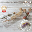 花 誕生日 プレゼント ドライフラワー ギフト グラスチューブ ボトルフラワー フラワーボトル ガラスドーム ドライフラワー ボックスフラワー 花 ギフト お祝...