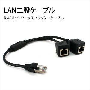 LAN֥ ʬ֥  ʬ ץ ͥ RJ45ʬ۴ RJ45 ᥹ LAN ԥ֥ RJ45 ͥåȥץå֥