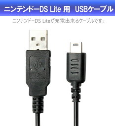 DS Lite 用 USBケーブル 1m ブラック 持ち運び