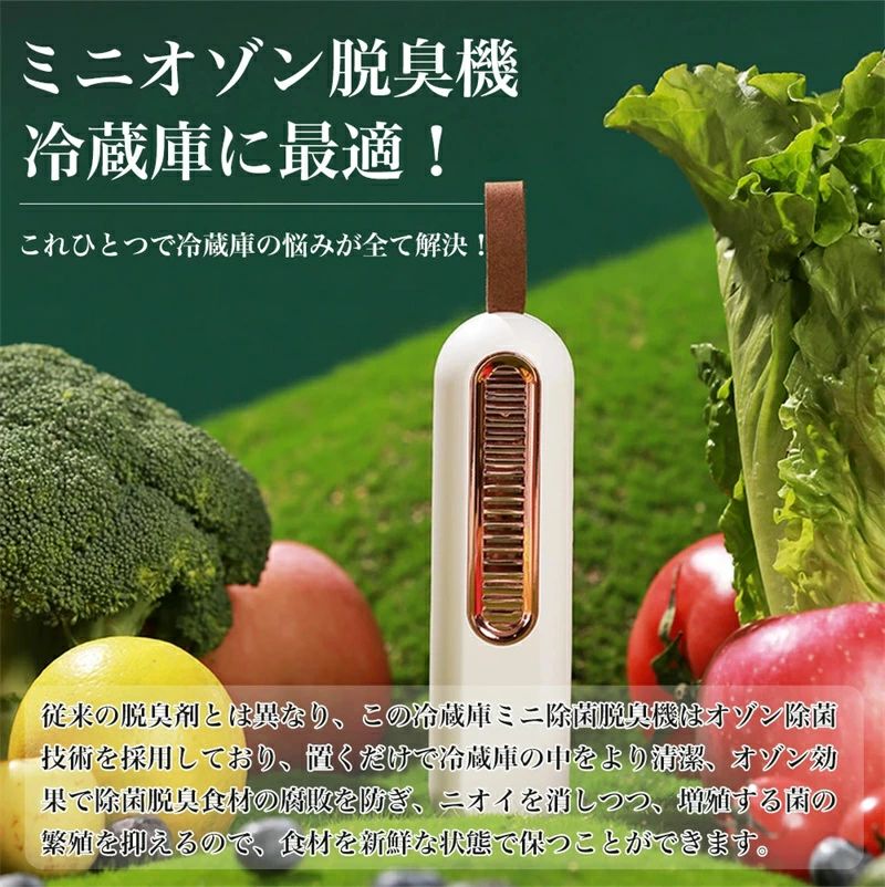 alloneallの殺菌 オゾン消臭 車用 家庭用 脱臭機 鮮度維持 除菌 消臭 オゾンリフレッシャー ミニ オゾン脱臭機 冷蔵庫 発生器｜アングル2