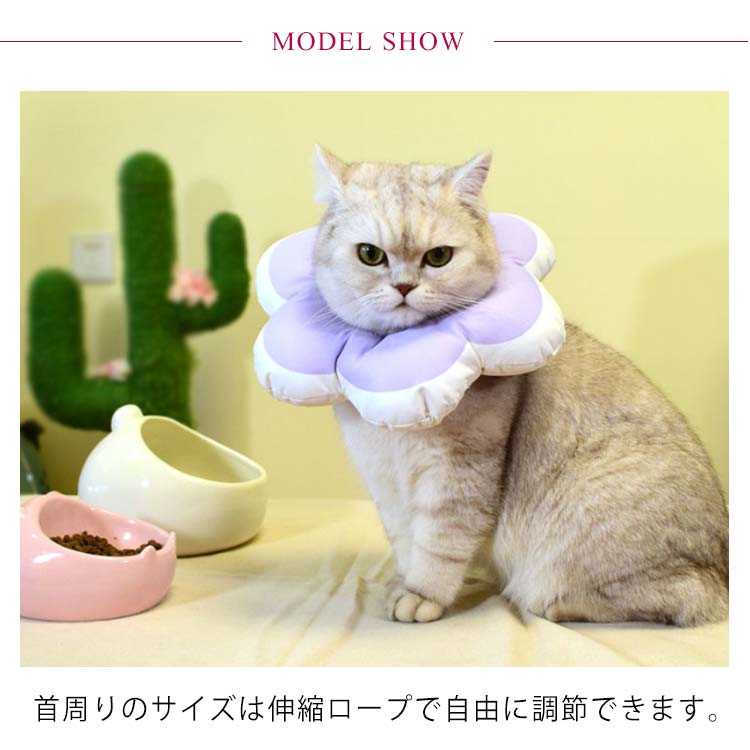 簡単装着 エリカラ ソフト 傷口保護 エリカラ 軽量 撥水 犬 可愛い ソフトタイプエ...