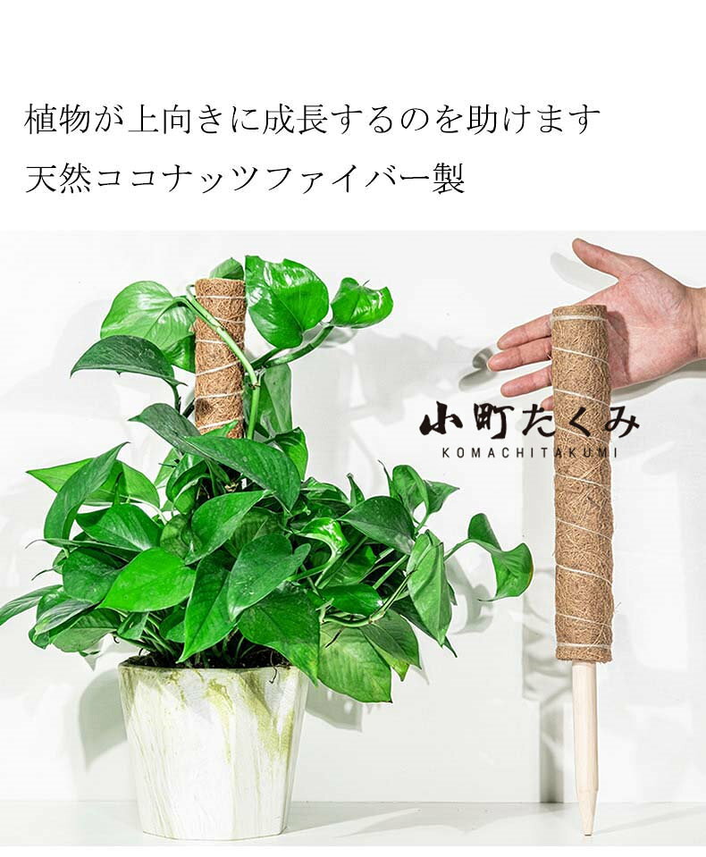 モンステラ 支柱 ココスティック 観葉植物 支柱 園芸支柱 植物 ガーデニング用 花...