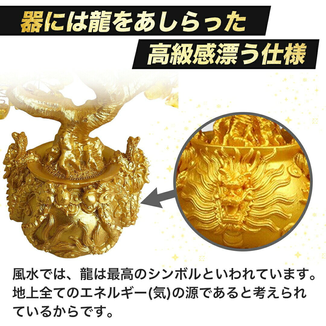 龍の黄金木 招財樹 金のなる木 黄水晶 風水アイテム 龍 ドラゴン 金運アップ シト...
