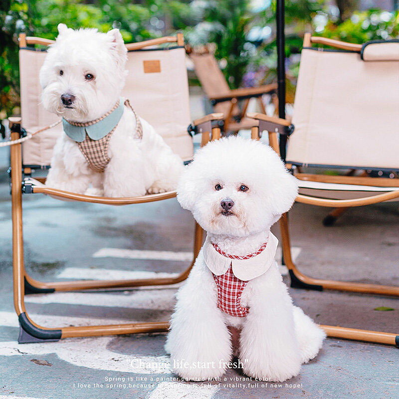 胴輪 脱げにくい リード 胸当て 小型犬 おしゃれ 散歩用 犬 セット 調整可能 ハー...