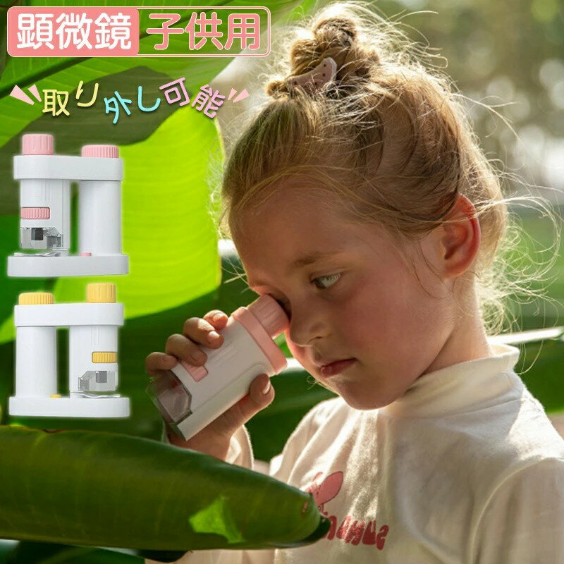 昆虫 花粉 小学生 ハンディ顕微鏡 スライドグラス 子供用顕微鏡 生物標本 おもちゃ スタンド 取り外し可能 単眼生物顕微鏡 プレ