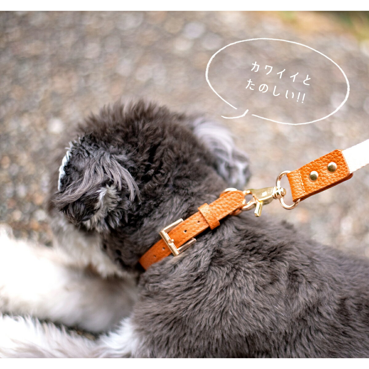 首輪 犬 小型犬 レザー 牛革 ペット おしゃれ かわいい 中型犬 軽い Dカン トイプードル チワワ ミニチュアダックス 柴犬 猫 RafiCaro ブランド ペット用品 Togo ペットグッズ 送料無料 ギフト 対応 S - Image 3