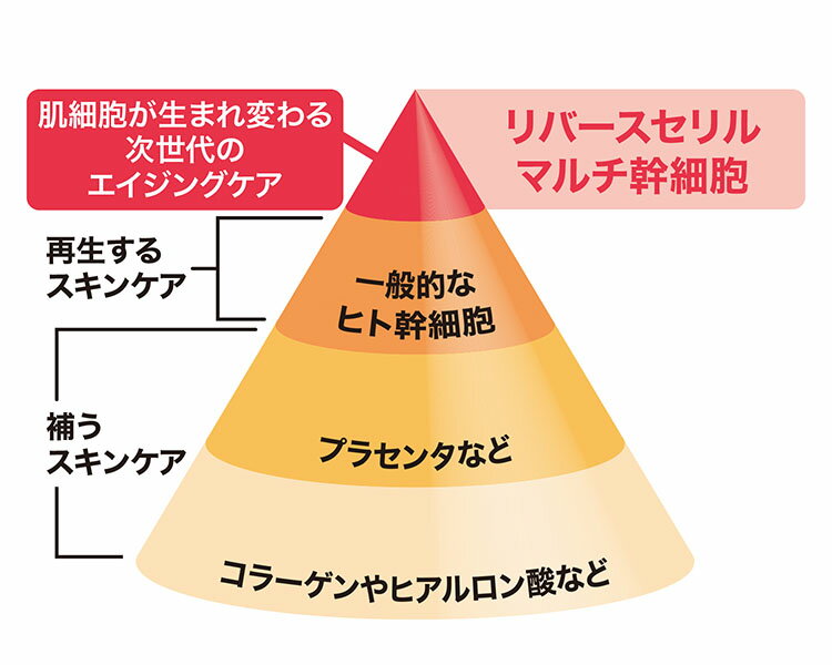 ��С�������� ���������� �ޥ�� �ӥ塼�ƥ������å��󥹡�ͣ��̵��β����桪����8��Υޥ������˦��