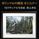 【すぐに使える10%割引クーポン】開運フォト 奇跡の写真 『ガジュマルの精霊(キジムナー)』【送料無料】ご自身の開運以外に贈答品としてもオススメ!