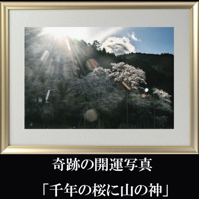 Rakuten - 【すぐに使える10％割引クーポン】開運フォト 秋元 隆良『奇跡の写真　〜千年の桜に山の神〜』【送料無料】心の健康、日々の糧にスピリチュアル界で話題騒然の写真家・秋元隆良氏の奇跡の写真シリーズ