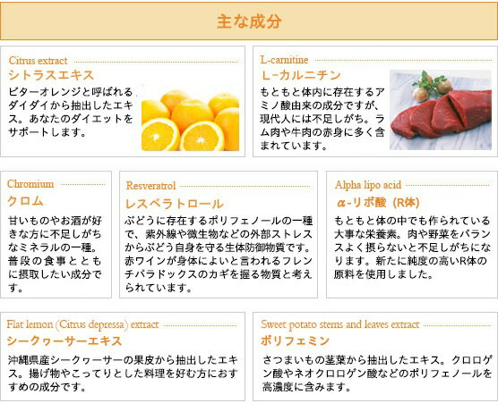 ��������� ���ȥ饹�ե����� II�����ȥ饹���Ϥǥ������åȤ��Ū�˥��ݡ��ȡ�