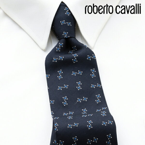 [yj] xgJ@ ROBERTO CAVALLI lN^C RCJ-003[uhlN^C Y  V  VЉl V   i j o[Xf[ 蕨 Mtg ̓ v[g][bsO]