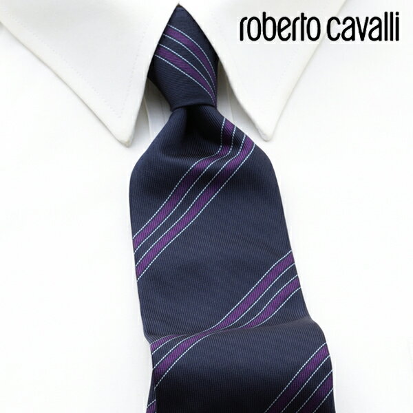 [yj] xgJ@ ROBERTO CAVALLI lN^C RCJ-005[uhlN^C Y  V  VЉl V   i j o[Xf[ 蕨 Mtg ̓ v[g][bsO]