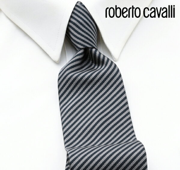 [yj] xgJ@ ROBERTO CAVALLI lN^C RCJ-009[uhlN^C Y  V  VЉl V   i j o[Xf[ 蕨 Mtg ̓ v[g][bsO]