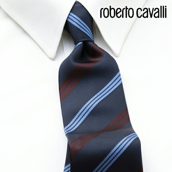 [yj] xgJ@ ROBERTO CAVALLI lN^C RCJ-010[uhlN^C Y  V  VЉl V   i j o[Xf[ 蕨 Mtg ̓ v[g][bsO]