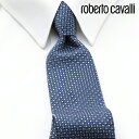 [yj] xgJ@ ROBERTO CAVALLI lN^C RCJ-016[uhlN^C Y  V  VЉl V   i j o[Xf[ 蕨 Mtg ̓ v[g][bsO]