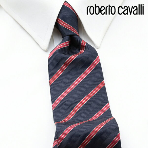 [yj] xgJ@ ROBERTO CAVALLI lN^C RCJ-026[uhlN^C Y  V  VЉl V   i j o[Xf[ 蕨 Mtg ̓ v[g][bsO]