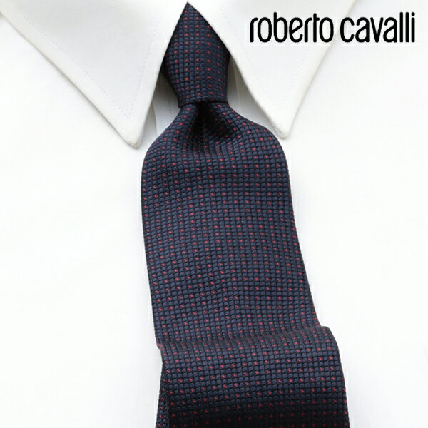 [yj] xgJ@ ROBERTO CAVALLI lN^C RCJ-036[uhlN^C Y  V  VЉl V   i j o[Xf[ 蕨 Mtg ̓ v[g][bsO]