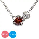 プラチナ900 ネックレス 一粒ハート レディース ダイヤモンド pt900 誕生石 ペンダント 送料無料 プレゼント 花以外 彼女 妻 贈り物 2025