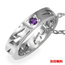 ネックレス プラチナ アメジスト インディアン サンダー 稲妻 ネイティブ カラーストーン ペンダント2月 誕生石 送料無料 母の日 プレゼント 花以外 彼女 ...