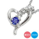 プラチナ ネックレス レディース ハート チャーム ダイヤモンド pt900 流れ星 誕生石 ペンダントトップ シルバーチェーン鎖 パワーストーン ジュエリーショップ 送料無料 プレゼント 花以外 彼女 妻 贈り物 2025