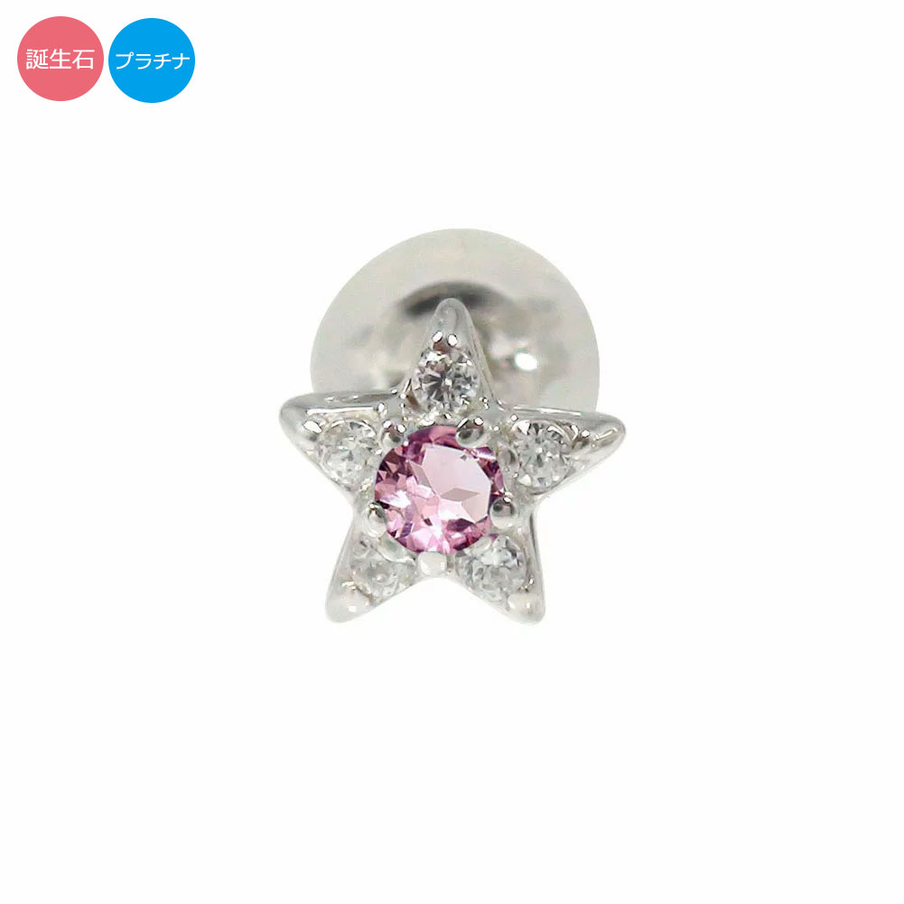 ץ pt900 ԥ Ҽ   ǥ   Ҽԥ  ꥹޥ ץ쥼 Xmas ְʳ  ...