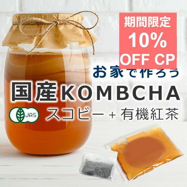 10％クーポン★月末月初！コンブチャ キット スターターキット スコビー スコービー 紅茶キノコ サプリ 紅茶きのこ マザー kombucha 腸活 手作りキット 酵素 乳酸菌 腸内フローラ 更年期国産 コンブチャ スタートキット【スコビー＋紅茶葉】 ※保証あり