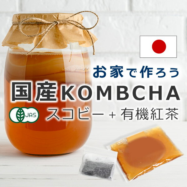 コンブチャ キット スターターキット スコビー スコービー 紅茶キノコ 紅茶きのこ マザー kombucha 腸活 手作りキット 生酵素 乳酸菌 腸内フローラ 更年期国産 コンブチャ スタートキット【スコビー＋紅茶葉】 ※返品交換不可