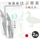 【お得★2袋set】 国産 無農薬 はぶ草茶 ハブ草茶 はぶ茶 ハブ茶 更年期 玄米茶 漢方茶 お茶 眼精疲労 便秘 改善 無化学肥料 粉砕 ティーパック ティーバッグ 個包装 【はぶ草茶 2袋】 by:Olaboメール便送料無料 ※返品交換不可