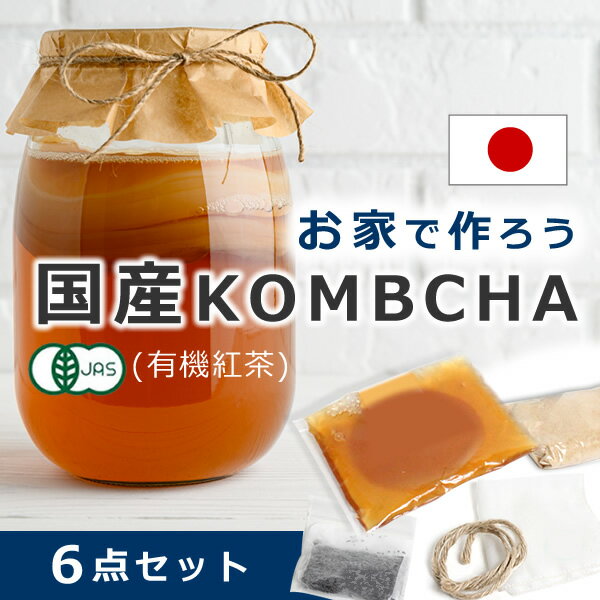 コンブチャ キット スターターキット スコビー スコービー 紅茶キノコ 紅茶きのこ マザー こんぶ茶 kombucha 腸活 菌 菌株 培養 手作りキット 生酵素 乳酸菌 腸内フローラ 更年期6点set●国産 コンブチャ スタートキット ※返品交換不可 ※ラッピング不可