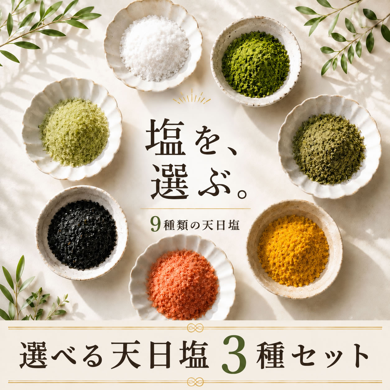 楽天市場】モリンガ 種（食品）の通販