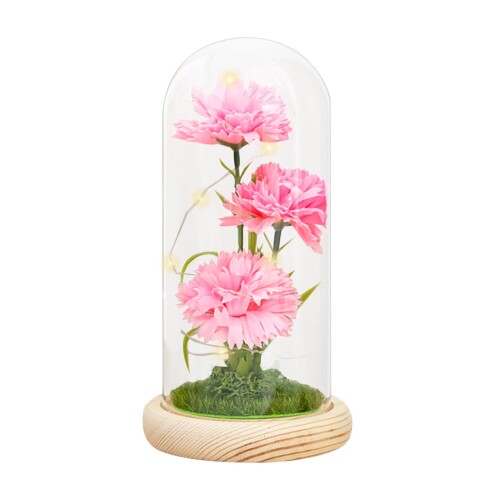 DIFEIUKI 母の日 プレゼント プリザーブドフラワー カーネーション 造花 ガラスドーム LEDライト付き ..