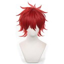 あんさんぶるスターズウィッグ 天城燐音 あまぎ りんねコスプレウィッグcosplay wig 耐熱 仮装 コスチューム小物 パーティー イベント 仮装 コスチュム ウィッグネット 付き