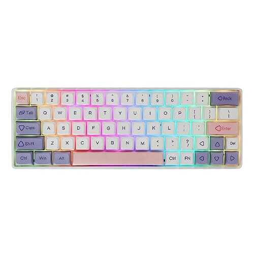 EPOMAKER EP64 ゲーミングキーボード 60% RGB 2.4GHz/Bluetooth 5.0/USB-C有線 メカニカル プログラマブルソフトウェア NKRO 昇華型PBTキーキャップ付き Mac/Win/ゲーマー用（Flamingo Switch）