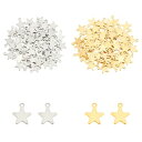 (UNICRAFTALE) 約160個 2色 1mm 星ペンダント ステンレス鋼ペンダント 星チャーム スターペンダント 五芒星チャーム メタルパーツ メタルチ...