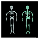 光る 骸骨 暗闇で光るガイコツ 人体 ハロウィン 飾り ドクロ 光る スカル 模型 人体 骨格 骸骨 ハロウィン飾り お化け スケルトン ボーン パーティーグッズ 骸骨 光る 骸骨 ガイコツ 人形